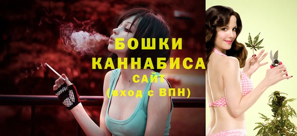 мдпв Навашино