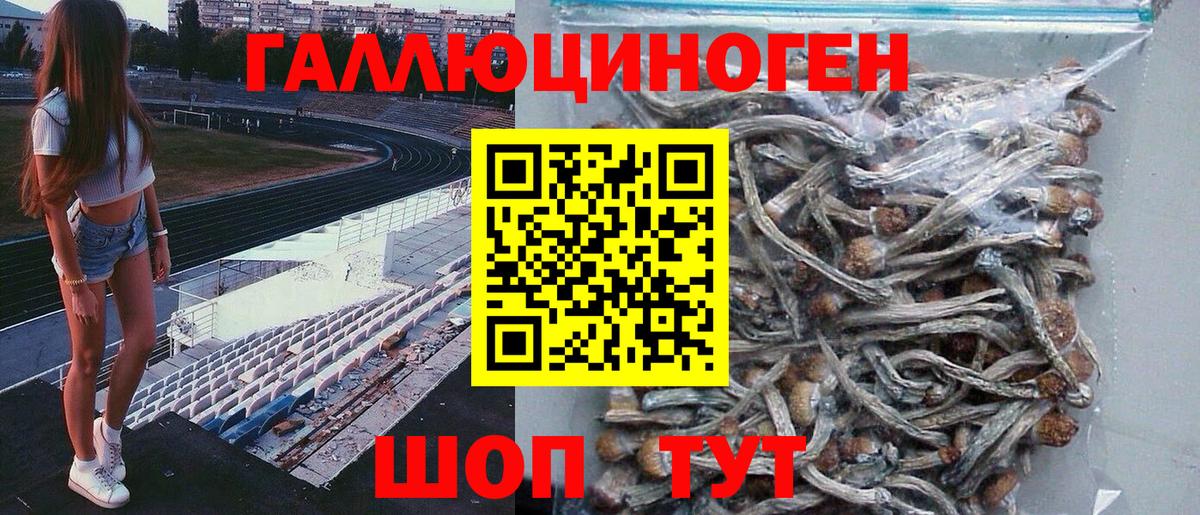 Сызрань  Галлюциногенные грибы Magic Shrooms  Вход с VPN 